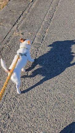 ☆心機一転2025年もよろしくお願いします☆の記事動画