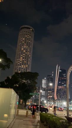 印象派展の記事動画