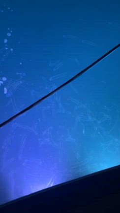 アンドンクラゲの記事動画