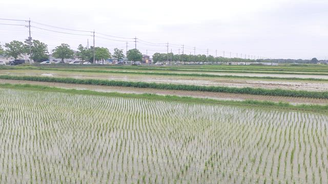 都内とかロイヤルティで揉めたよね！！！〜社長亡くなって10年以上経つのね〜の記事動画