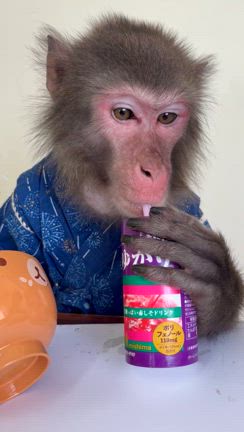 ゆかり祭りの記事動画