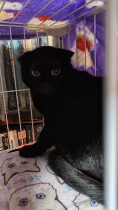 カクマ・よかった‼️本当によかった‼️の記事動画