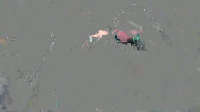 ✨天元くん里親様募集中✨の記事動画