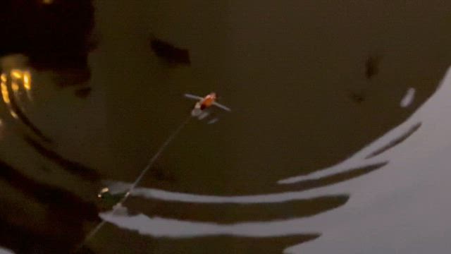 新年明けましておめでとうございます。の記事動画