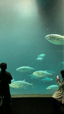 まだまだ残暑が残るこの時期に最適なデートスポットは？の記事動画