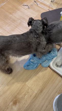 DIY彩女勉強会～タイホウさんの記事動画