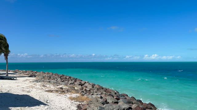 初めて行った国バハマ、そしてラストナイトの記事動画