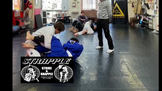 土曜朝柔の記事動画