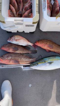 一つテンヤの記事動画