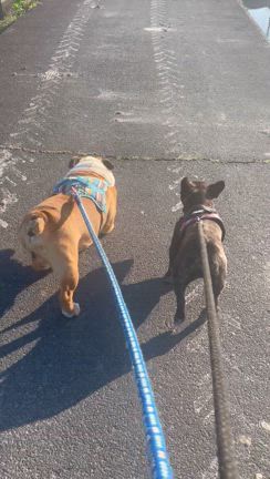 悠々自適₍ᐢ‥ᐢ₎ ♡の記事動画