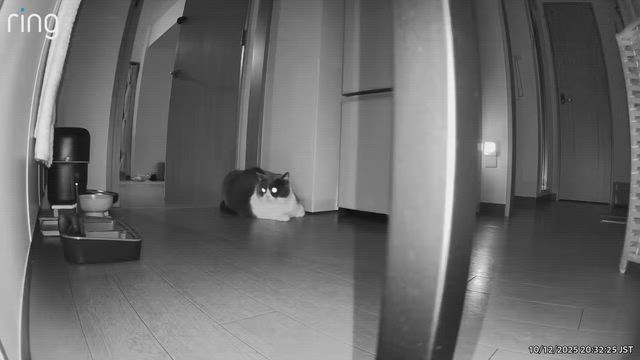 名古屋御園座公演２日目の記事動画