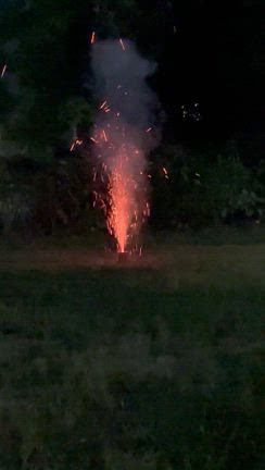 お月様と花火の記事動画