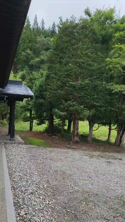 姉が我が家に到着したようで玄関から撮った動画が届きましたの記事動画