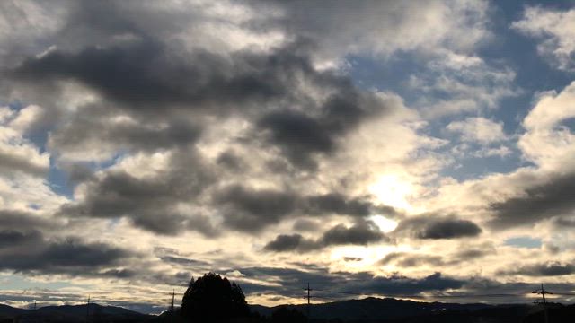 ダーツの旅…☆の記事動画