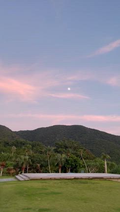 ★奄美大島④の記事動画