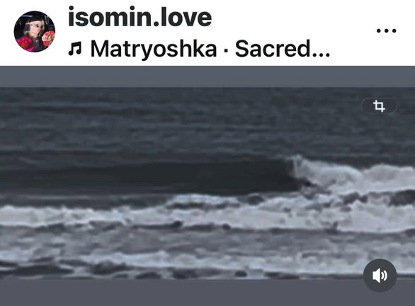 2026/03/31火曜日の波情報(しけ) 17時更新。の記事動画