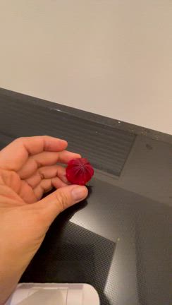 黄色いゴーヤとハーブティーの記事動画