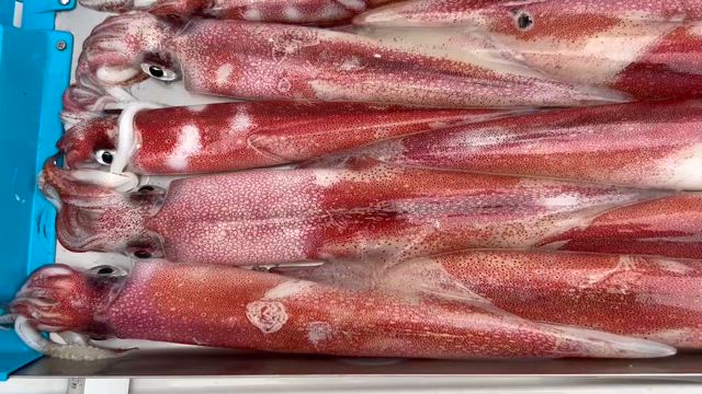 30日の記事動画