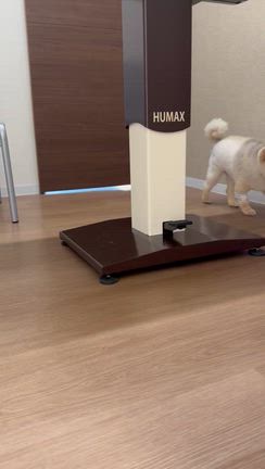 診察おおし手術ありすぎライフ0問題の記事動画