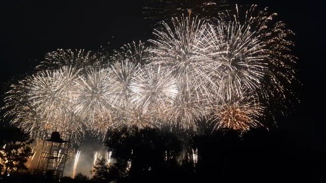 * 勝毎花火大会 *の記事動画