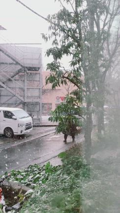 韓国旅行記録２－２度の会議を経て予約完了◎－の記事動画