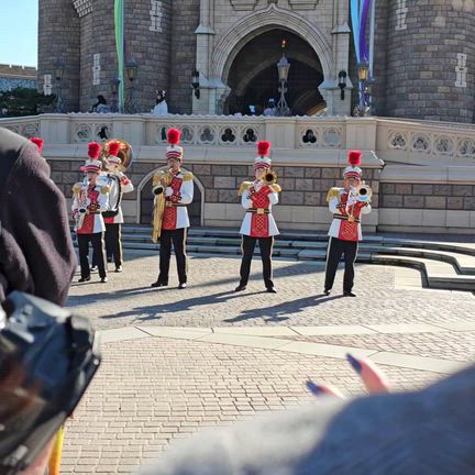 東京ディズニーリゾート／2泊3日の夢の国へ～ランド編～の記事動画