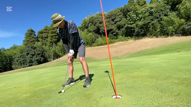 この夏の思い出の記事動画