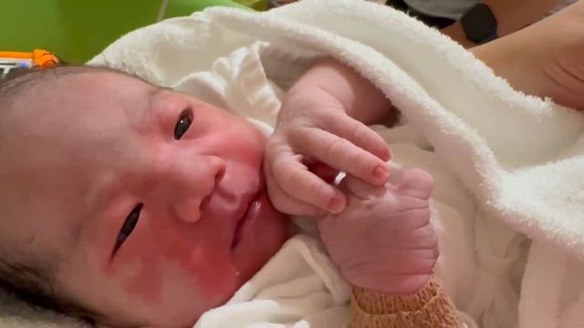 昨日、無事‼️の記事動画