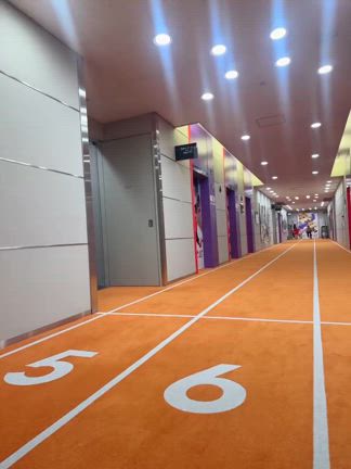 さおちゃんとレスリング解説しました!の記事動画