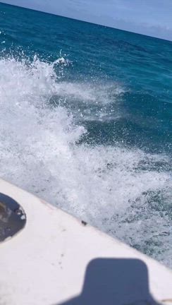 南国リゾート３泊４日サイパンの旅！人気スポット"マニャガハ島"＆マリンスポーツを大満喫♡の記事動画