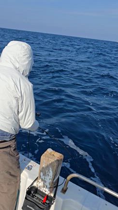 2月1日トンジギの記事動画