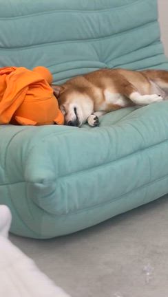 どうしたみんな？！の記事動画