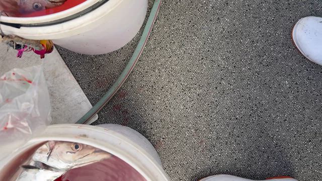 完璧の記事動画