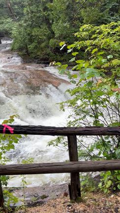 私の夏休み2の記事動画