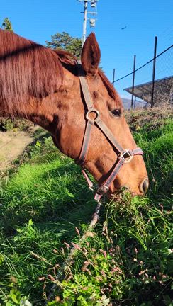 祝11周年の記事動画