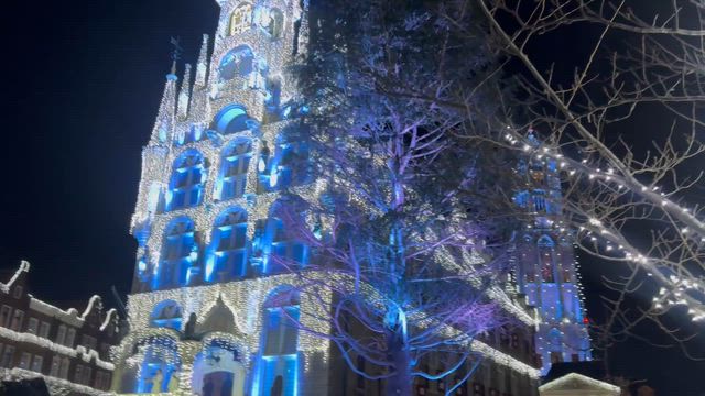 ( ・×・ )ハウステンボス⭐︎の記事動画