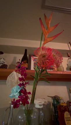 Ｒ7.9.1 走り続ける　２火曜日定休日　の記事動画