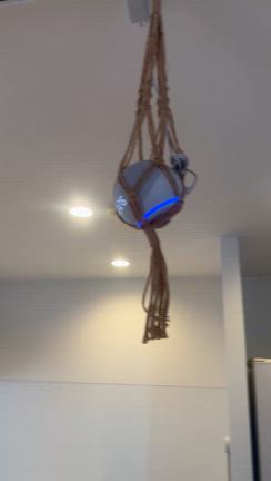 【恐怖】アレクサにあれが憑依してる...の記事動画