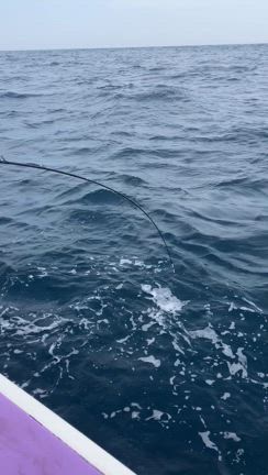 4月20日　午前ヒラメ〔マハタ〕釣果の記事動画