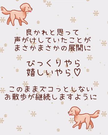 側溝をズコってしなくなったってどういうこと？の記事動画