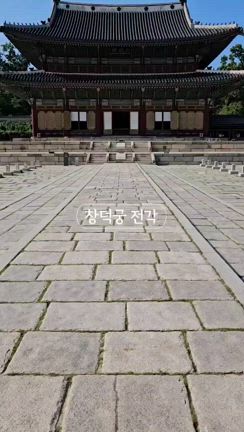 2024/08/25の記事動画