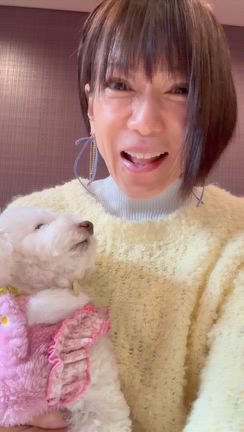 モーニングメッセージ！の記事動画