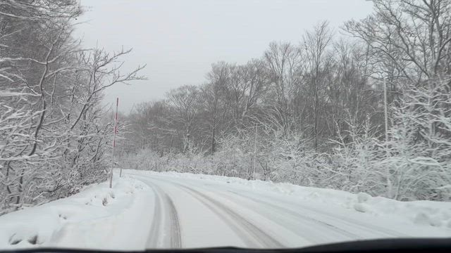 弘前満喫の記事動画