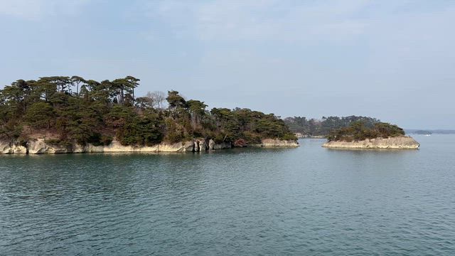 No.811 明日から気持ち新たにの記事動画