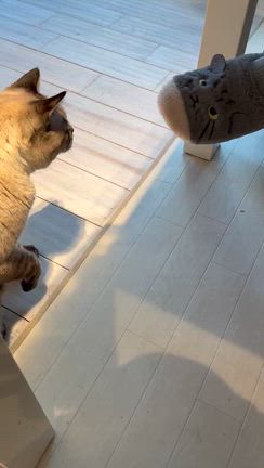 チャリティ手芸部、活動日～♪おやつは、あれ食べてみました♡の記事動画