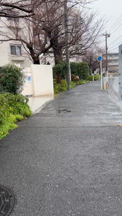 ハッピーバースデーの記事動画