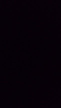 今日はの記事動画