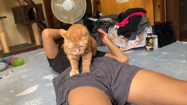 しーたんのモミモミの記事動画