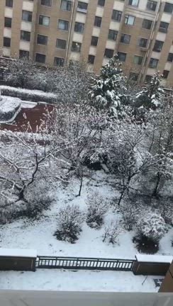 特色の記事動画