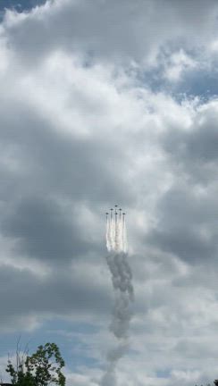 川崎で見た❣️ブルーインパルスの記事動画